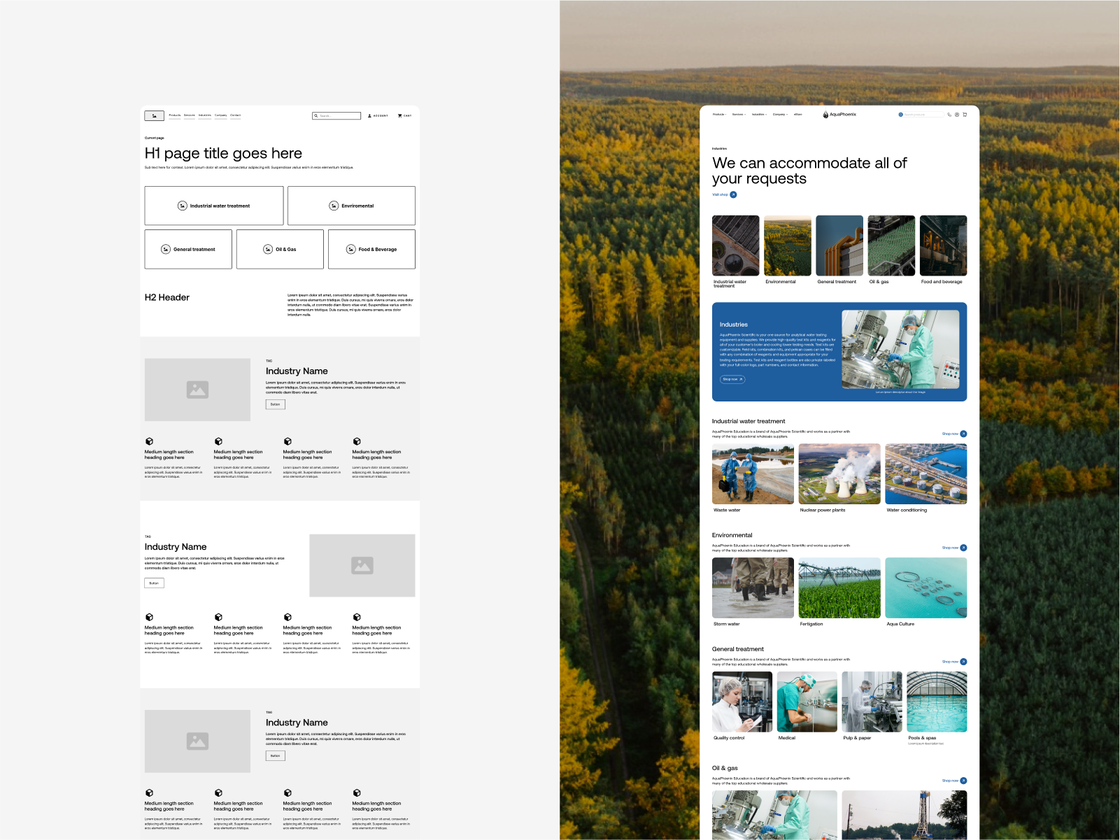 High-fidelity homepage design for AquaPhoenix
